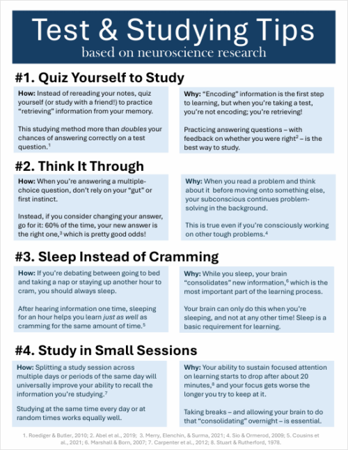 A preview image linked to an informational poster titled "Test & Studying Tips" in Amber's portfolio.